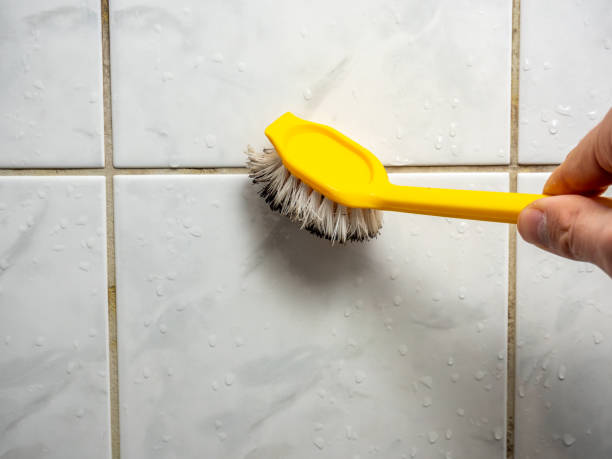 Best Mold Cleaning Services  in Honeoye Falls, NY