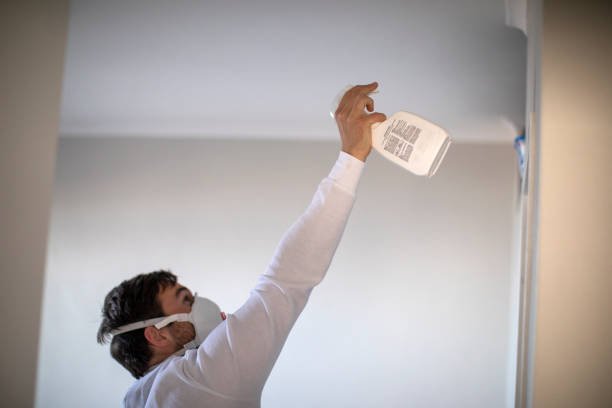 Best Mold Removal Near Me  in Honeoye Falls, NY