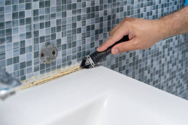 Best Black Mold Removal  in Honeoye Falls, NY