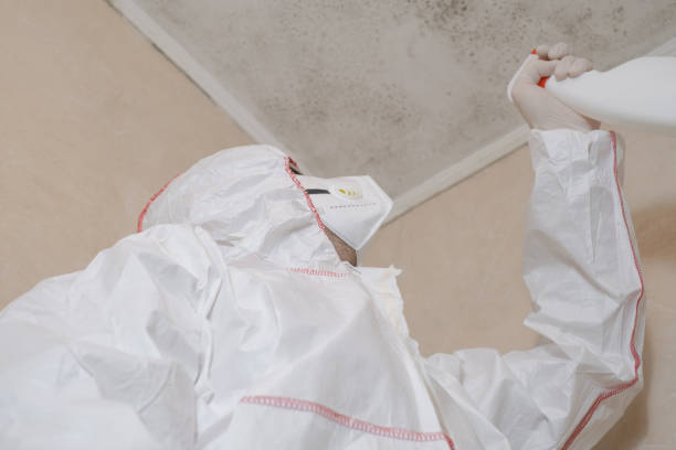 Crawl Space Mold Removal in Honeoye Falls, NY
